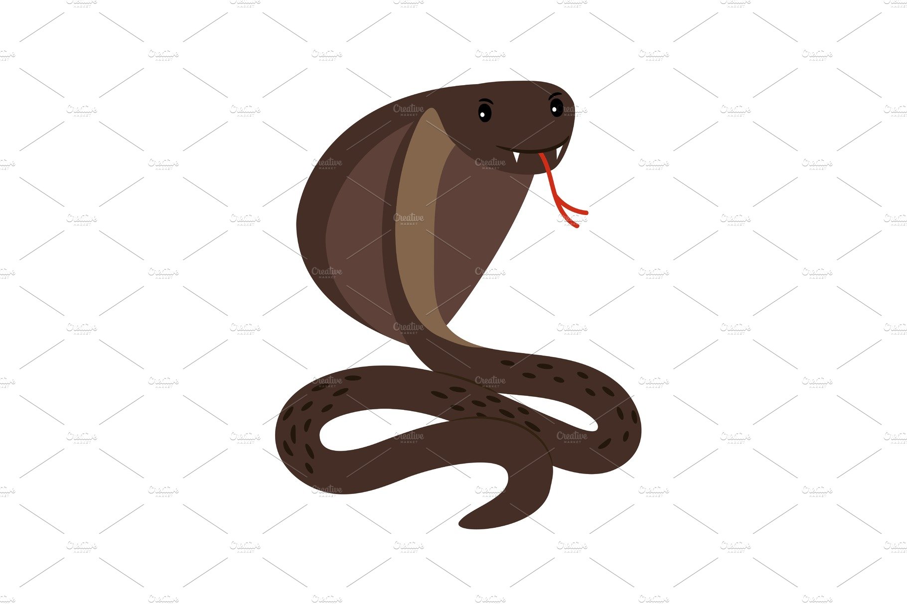 Cobra. Brown poisonous cobra snake attack position vector illustration on w... cover image.