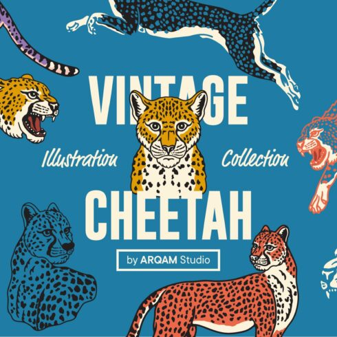 Vintage Cheetah Illustrations cover image.