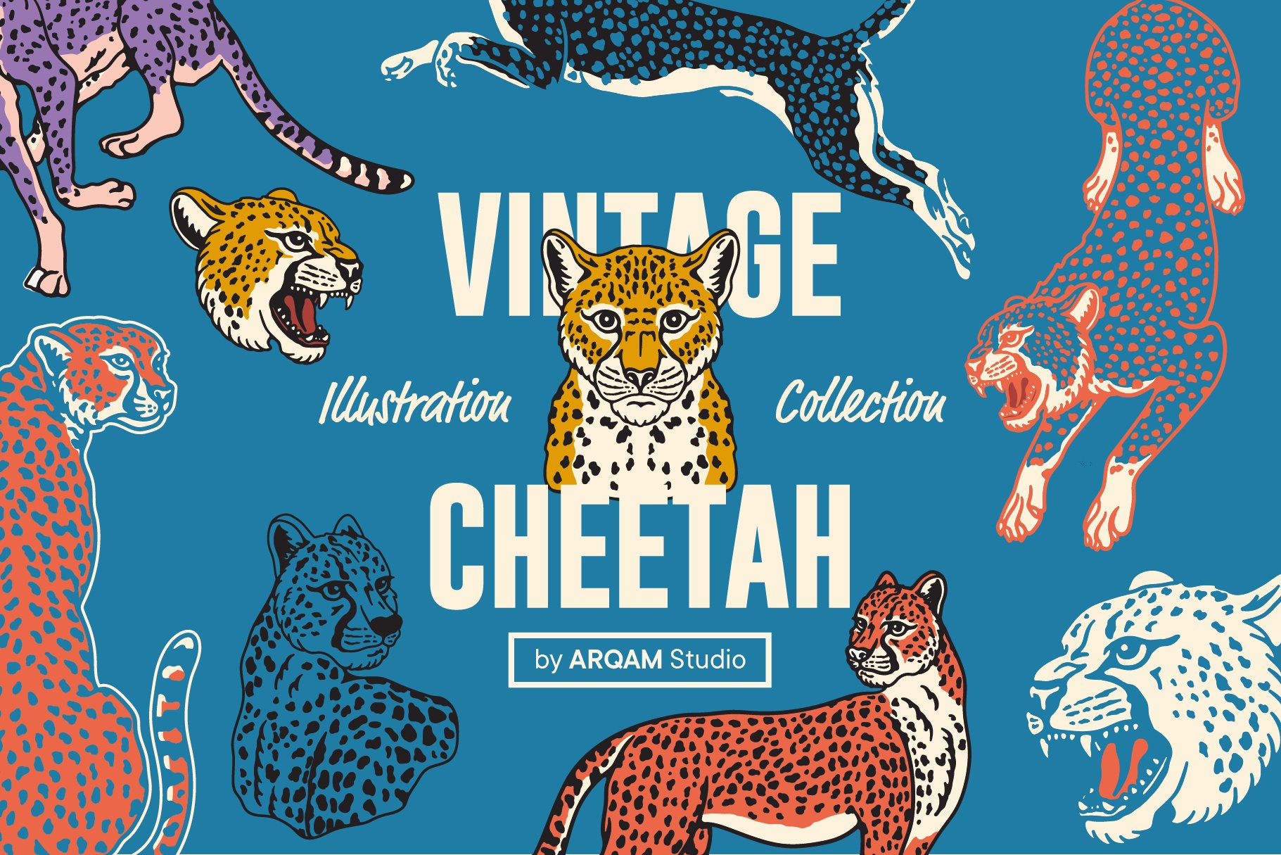 Vintage Cheetah Illustrations cover image.