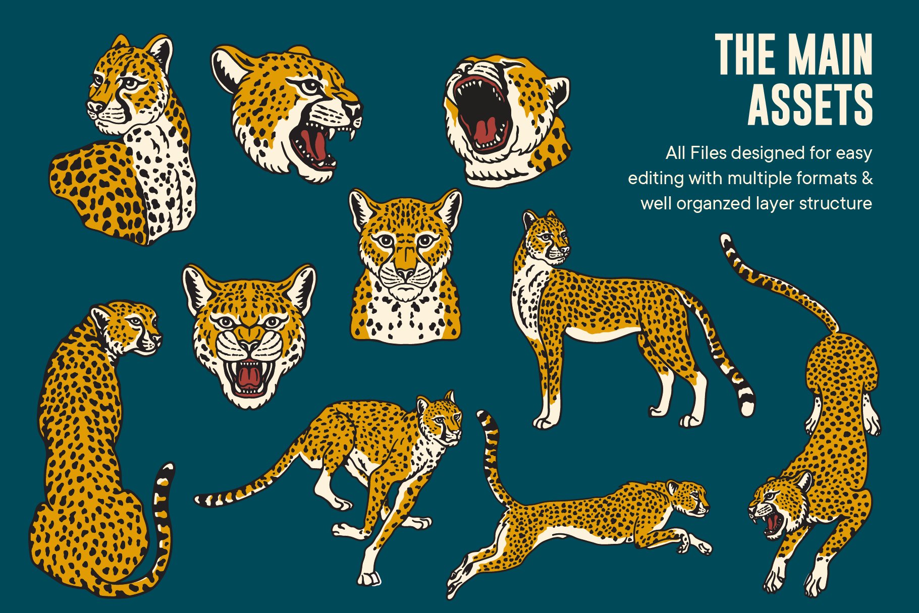 Vintage Cheetah Illustrations preview image.