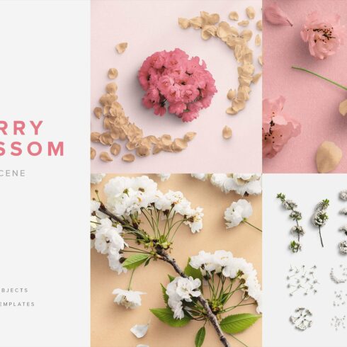 Cherry Blossom Custom Scene cover image.