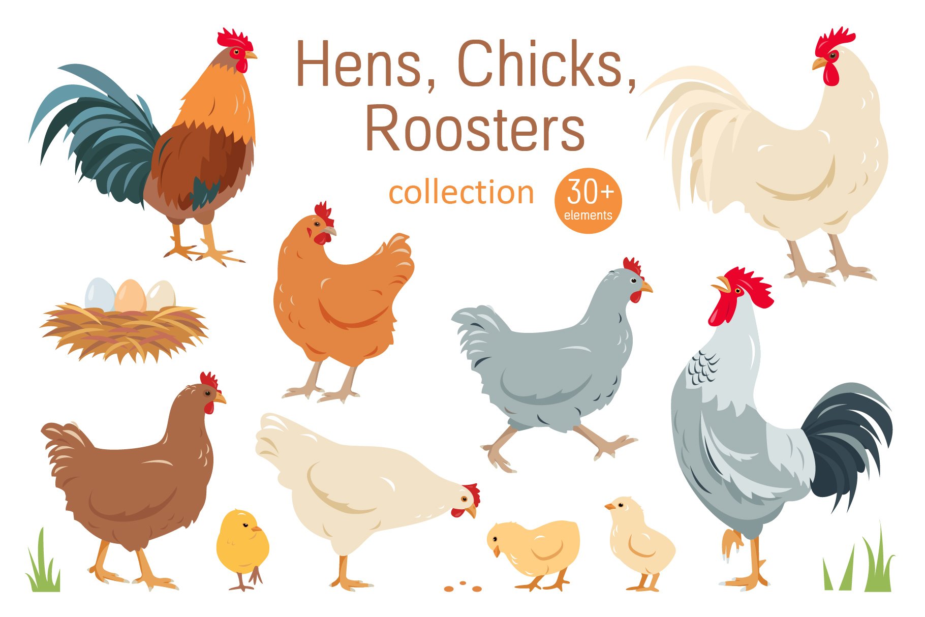 Hens, Chicks and Roosters cover image.