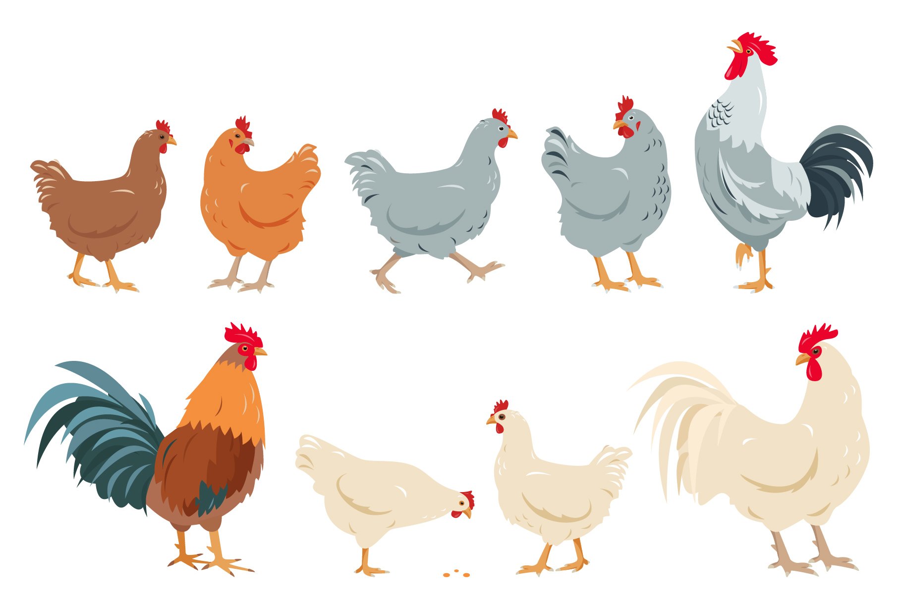 Hens, Chicks and Roosters preview image.