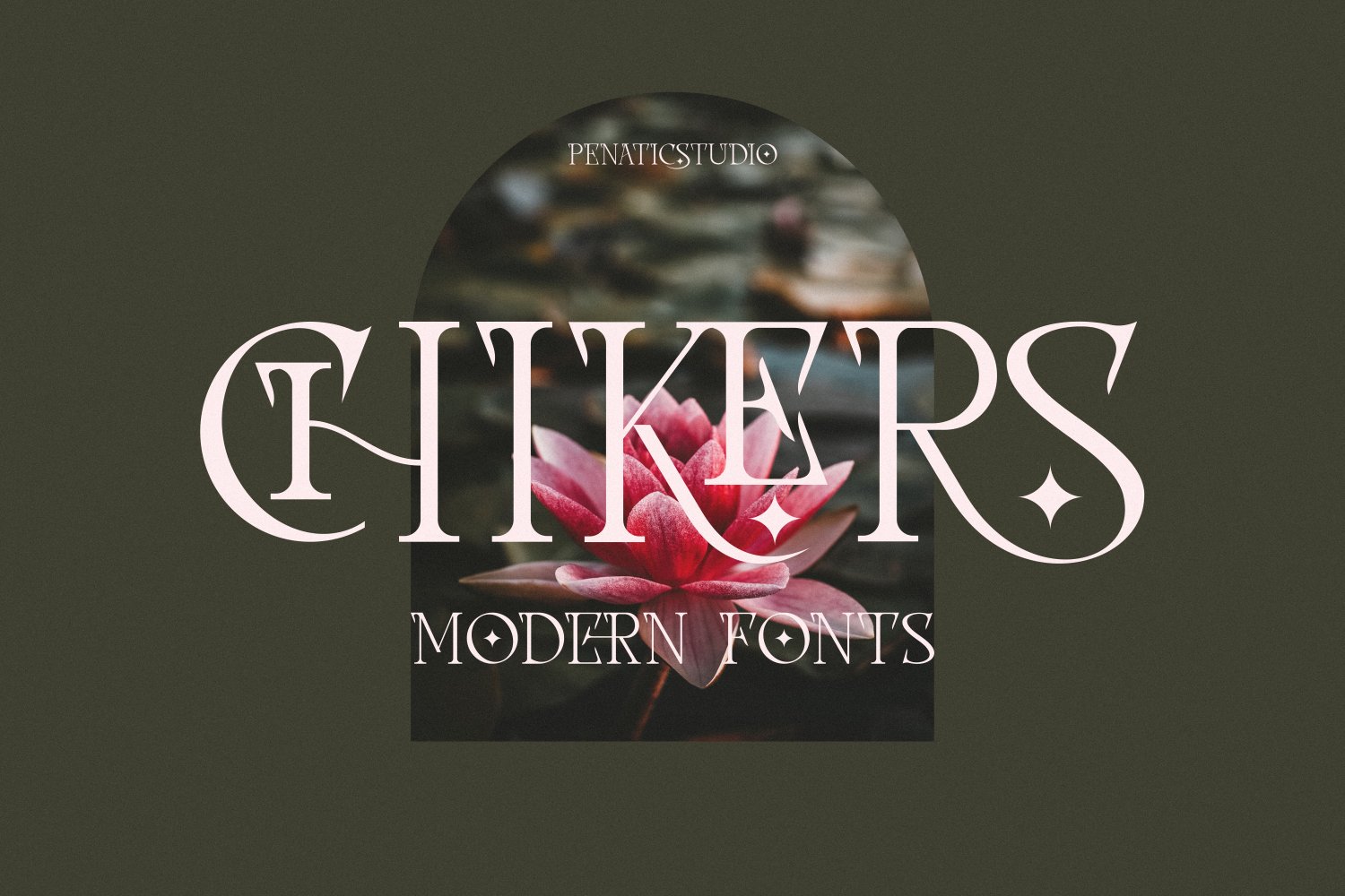 chikers _ modern fonts cover image.