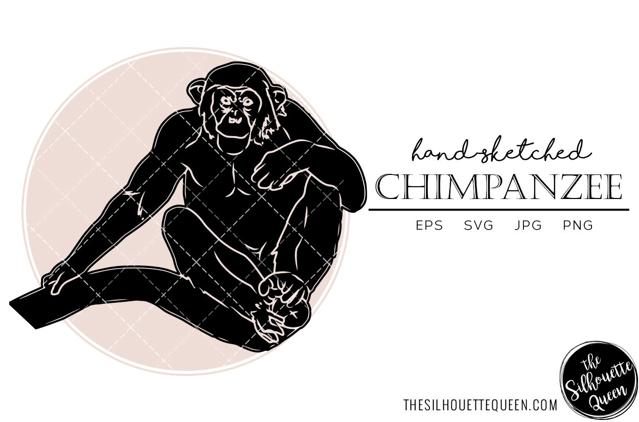 Chimpanzee Sketch Vector cover image.
