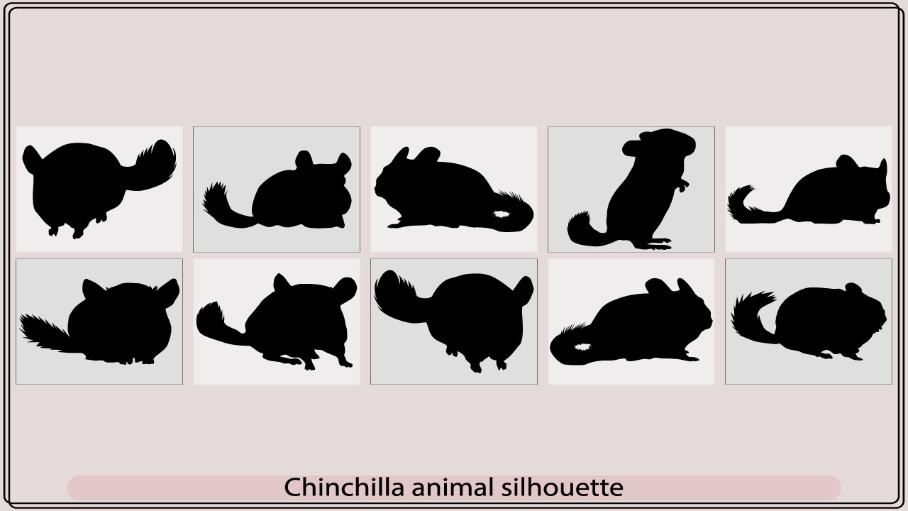 chinchilla animal silhouettemb add media 615