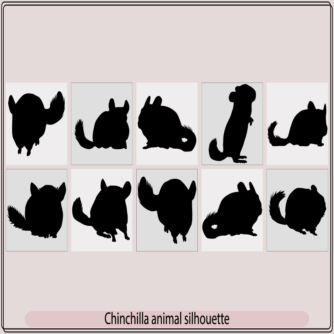 Chinchilla animal silhouette Set, Vector silhouettes of a chinchilla, Silhouette, illustration, isolated, animal, chinchilla cover image.