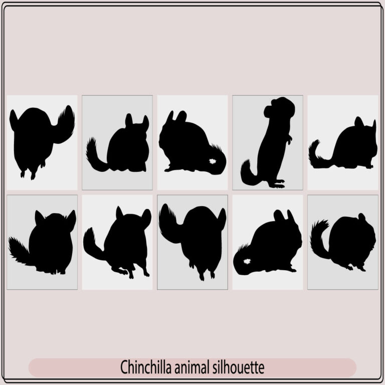 Chinchilla animal silhouette Set, Vector silhouettes of a chinchilla ...