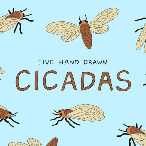 Cicadas Hand-Drawn Illustrations cover image.