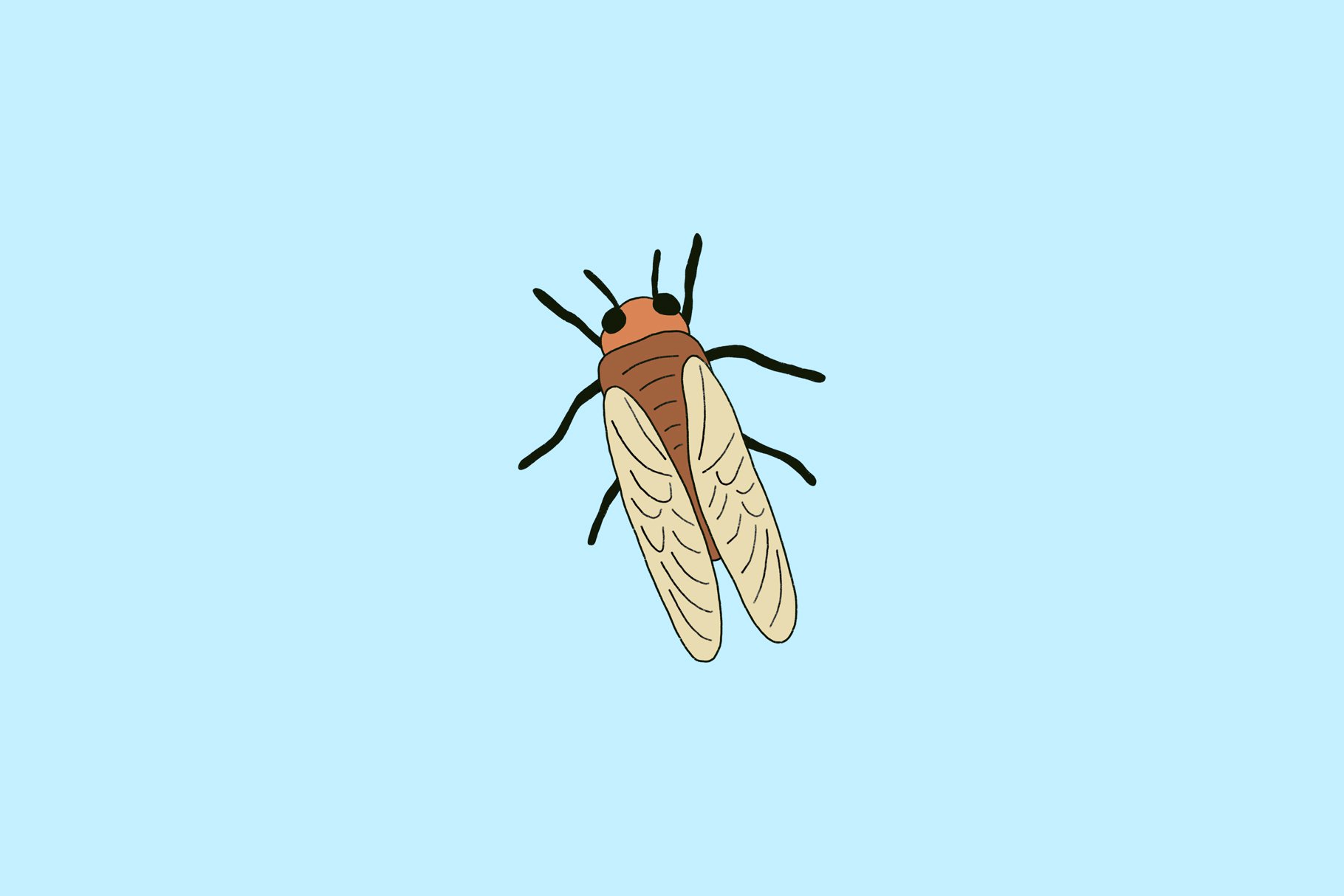 cicadas screenshot 3 887