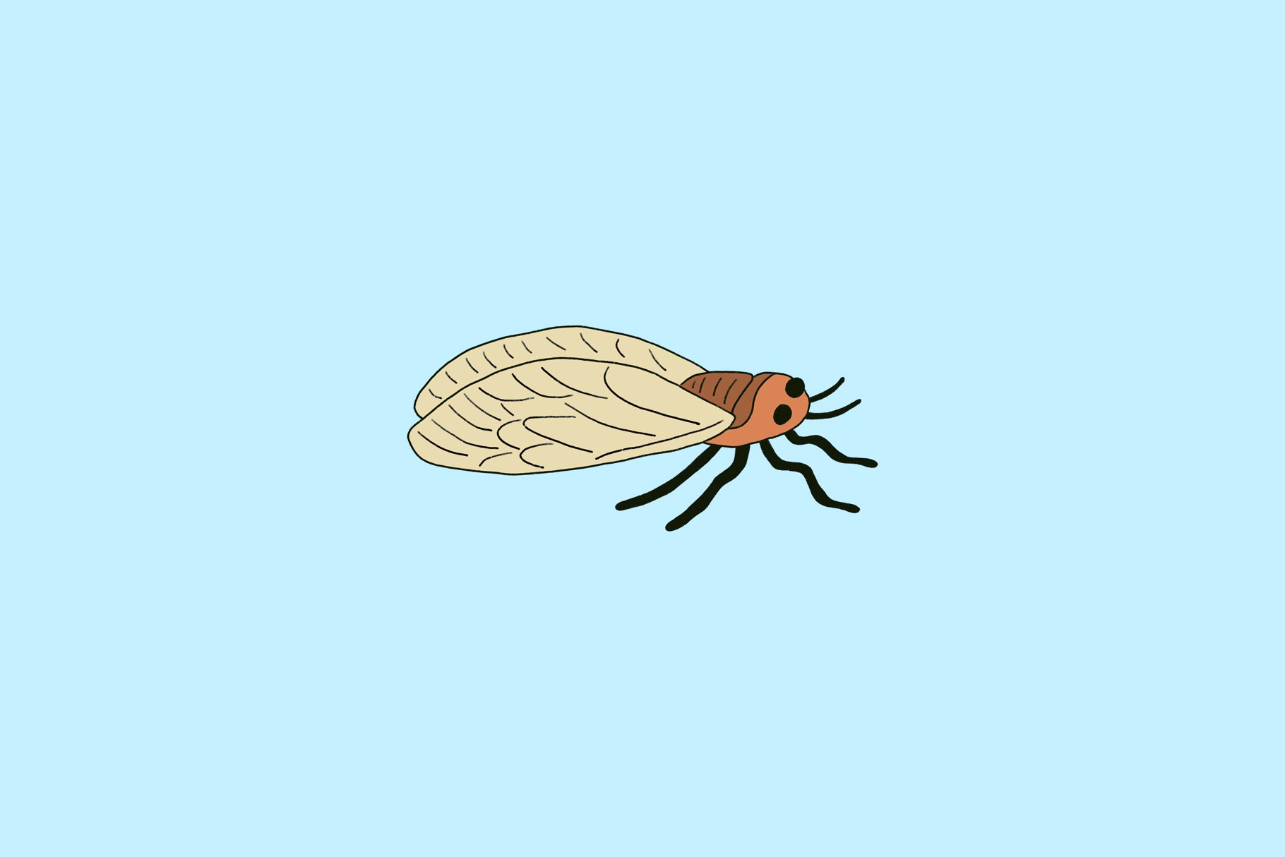 cicadas screenshot 5 54