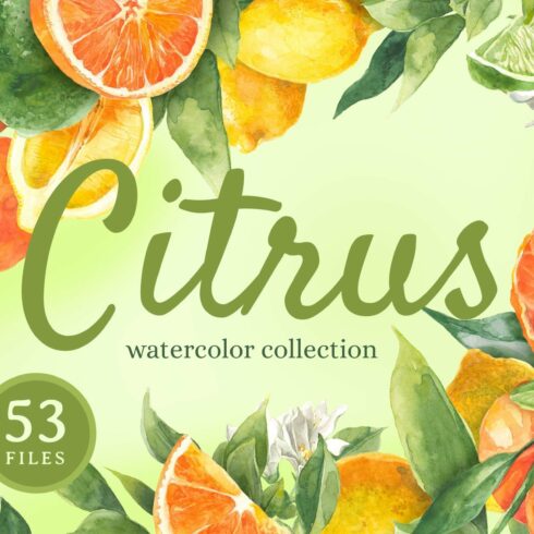 "Citrus" watercolor collection cover image.
