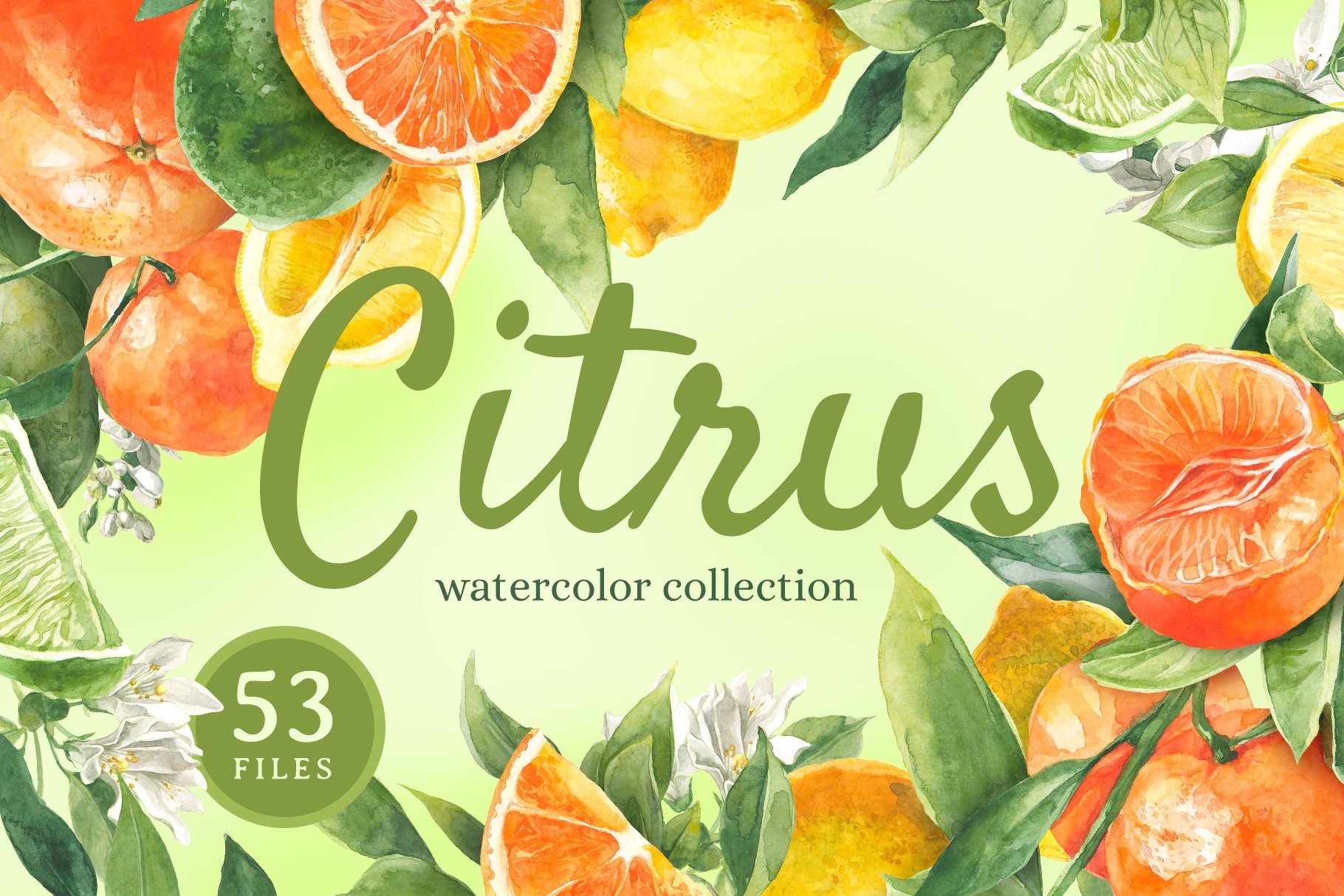 "Citrus" watercolor collection cover image.