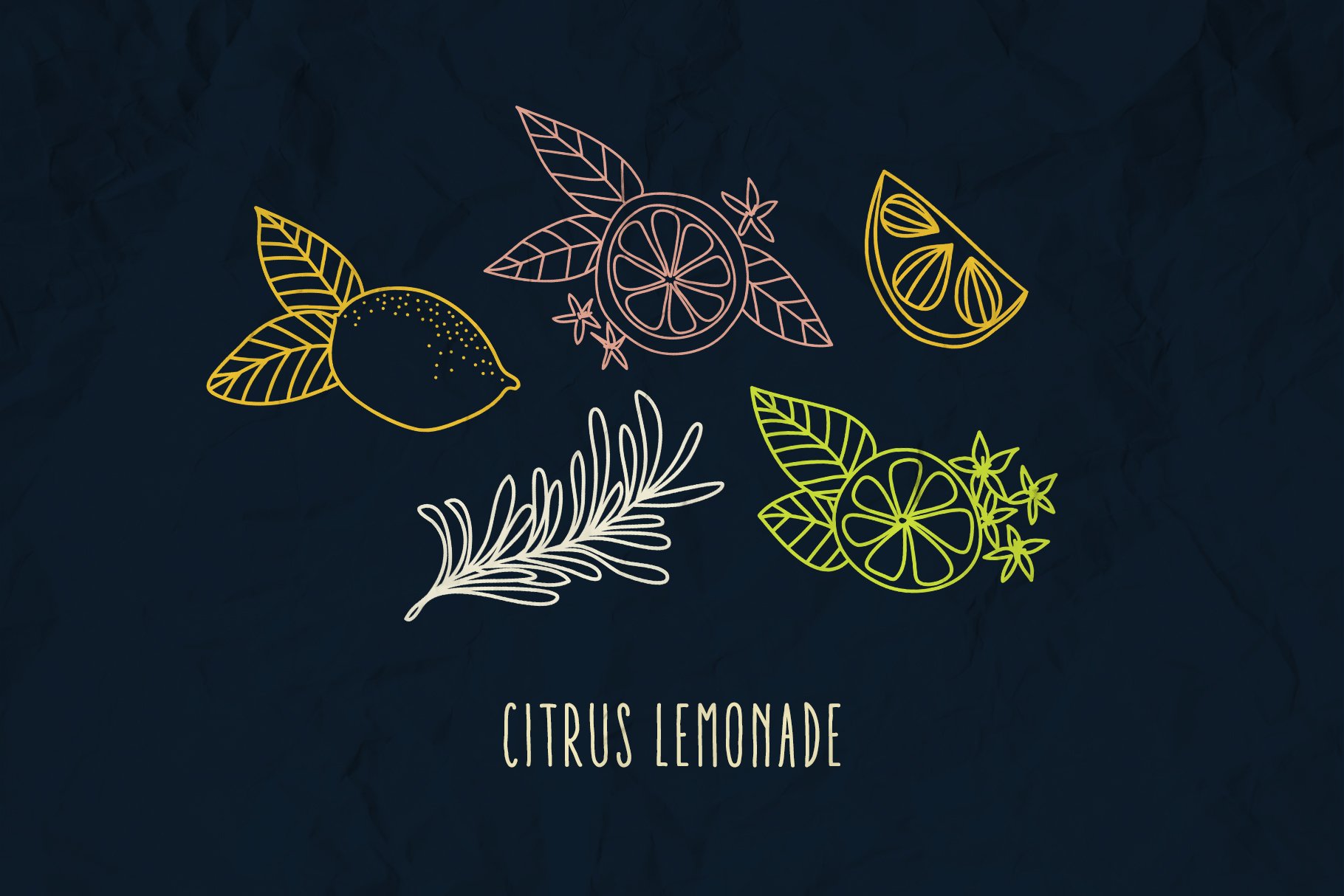 citrus illustrations 437