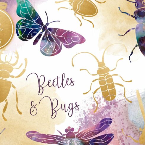 Beetles & Bugs Clipart Set cover image.