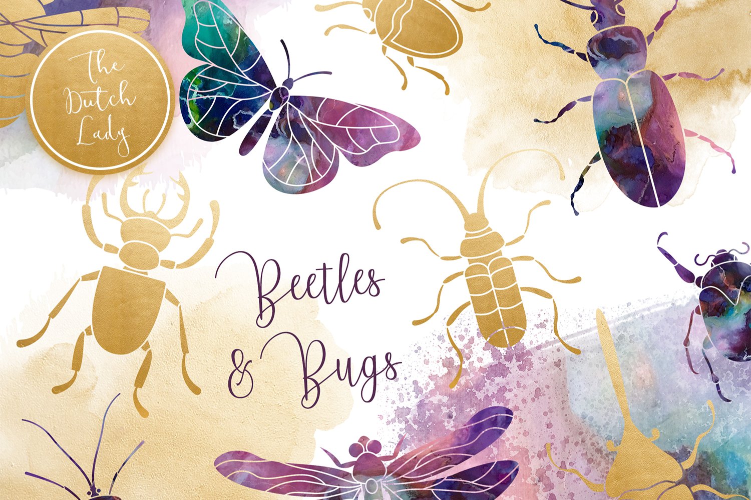 Beetles & Bugs Clipart Set cover image.