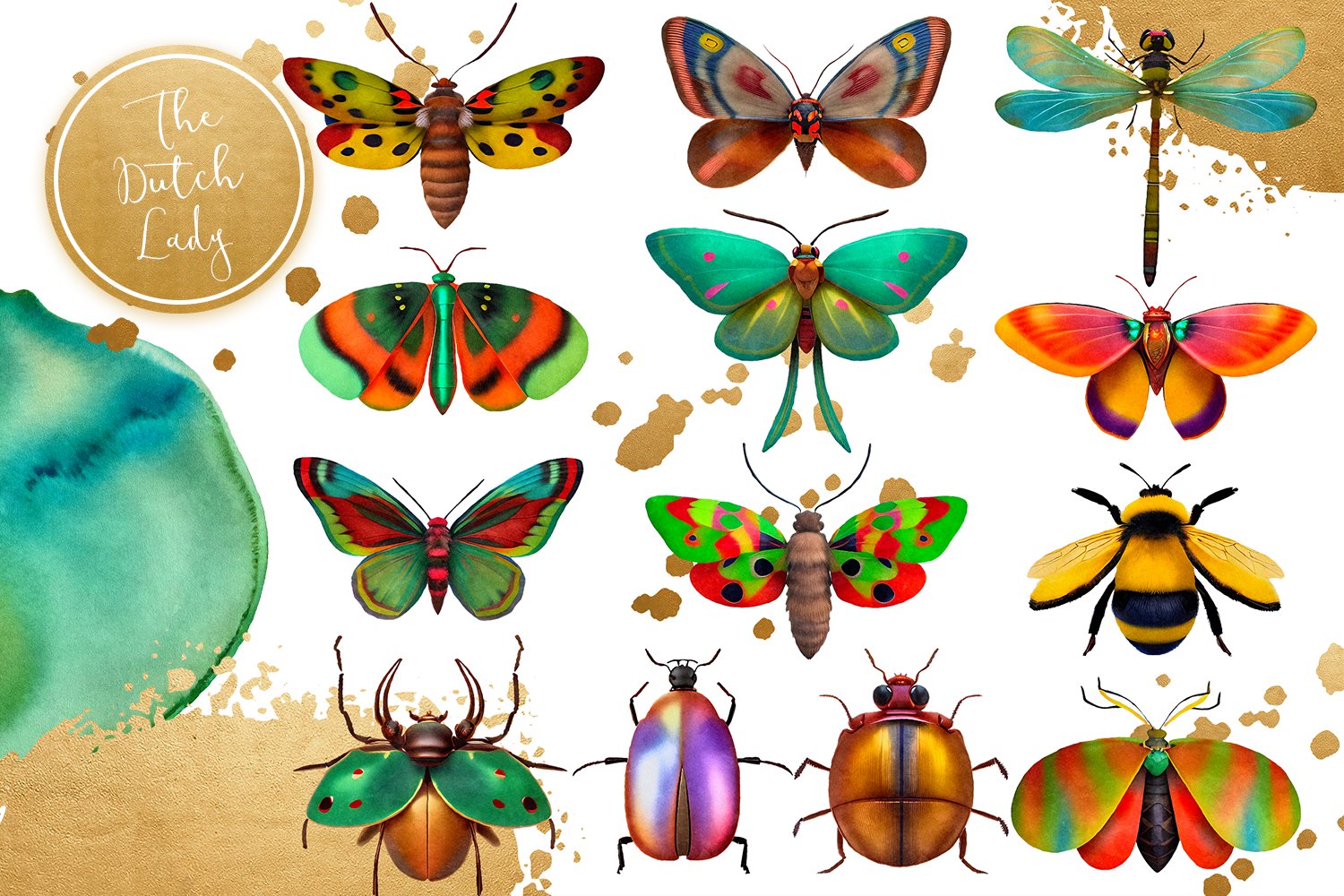 Beetles & Moths Clipart Set cover image.