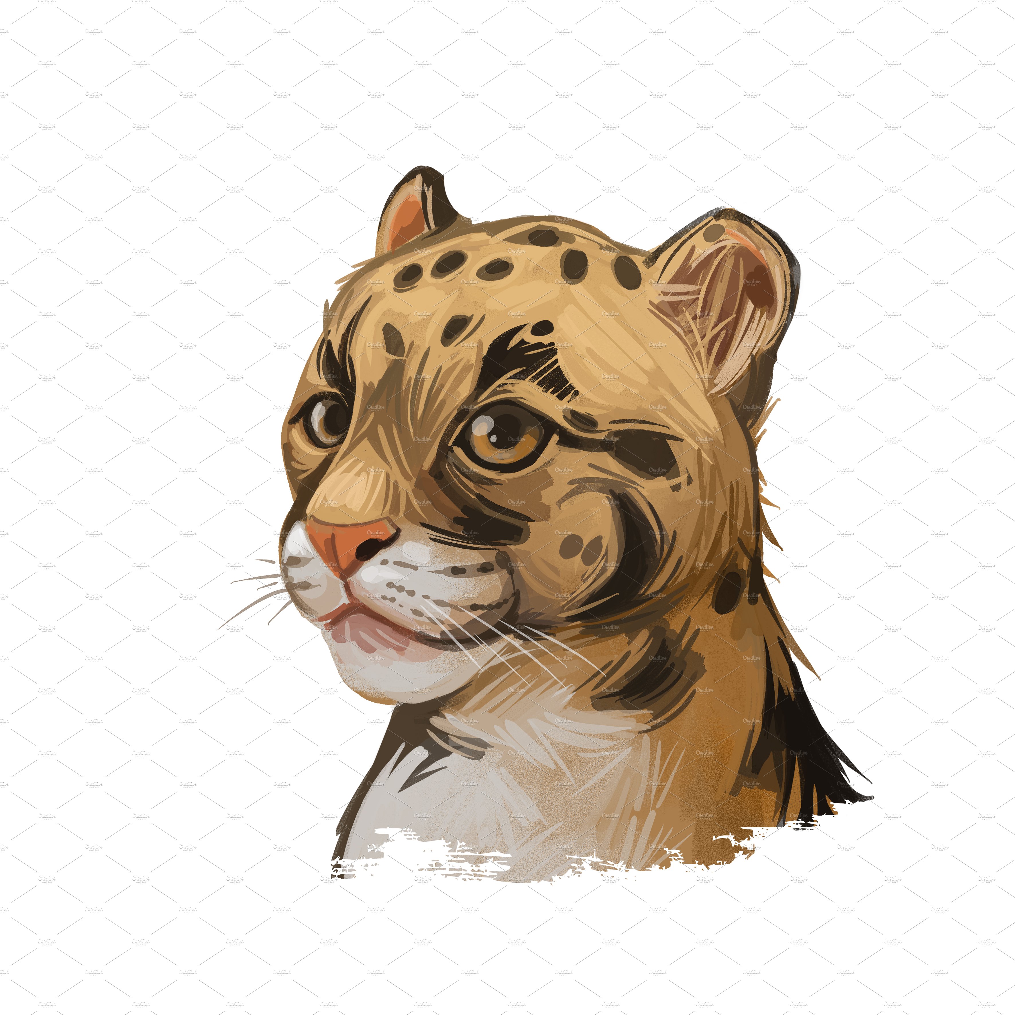 clouded leopard baby 10 1 139