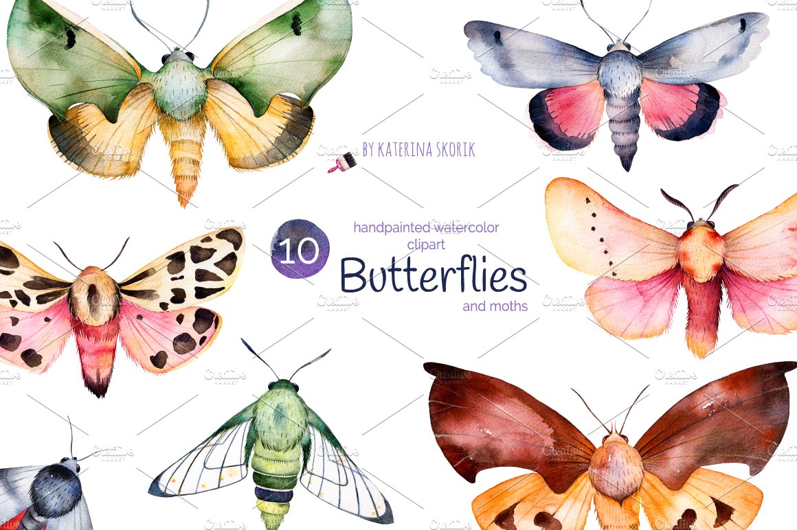 Butterflies and moths cover image.
