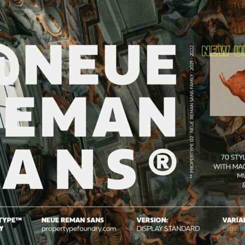 Neue Reman Sans Family cover image.
