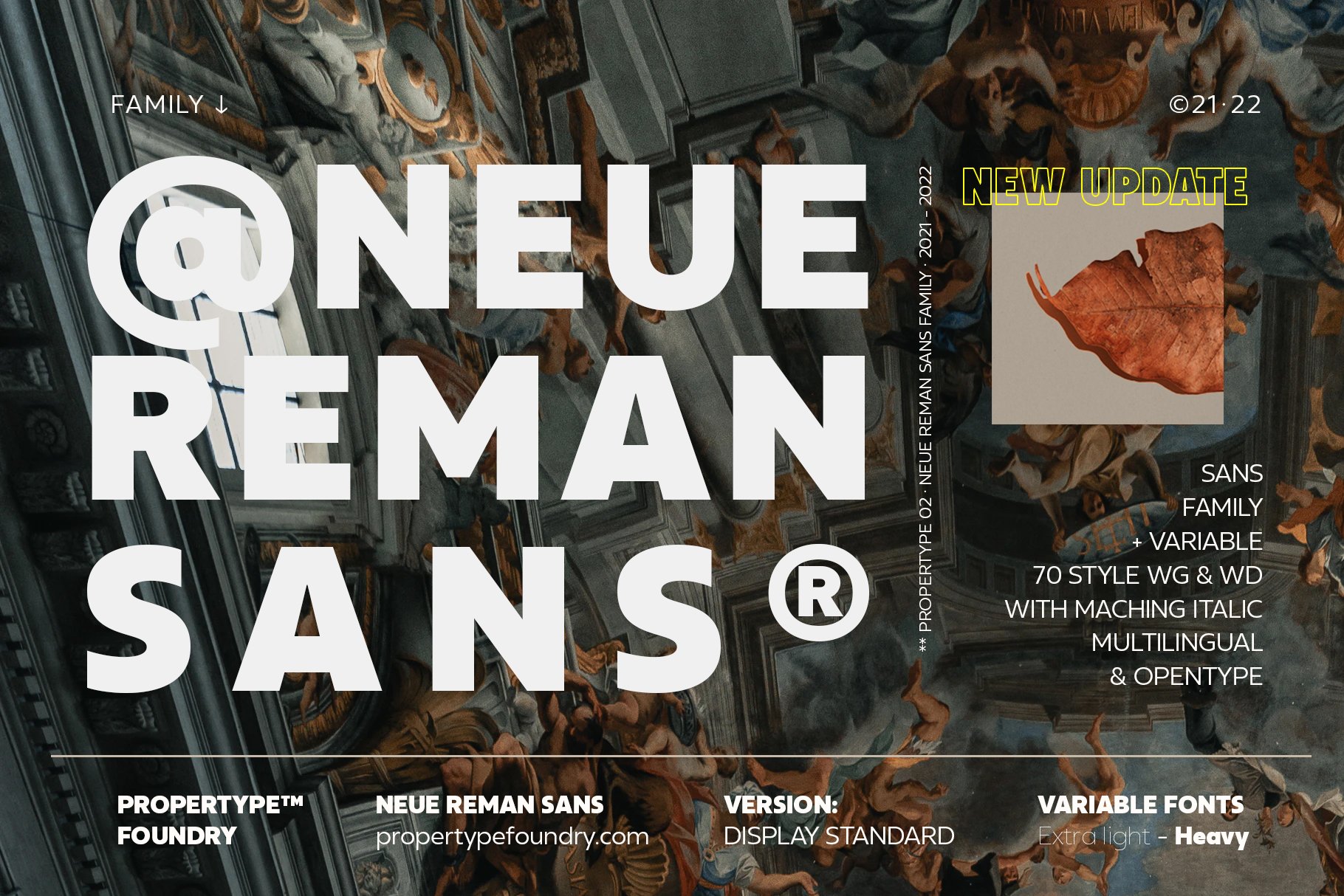 Neue Reman Sans Family cover image.