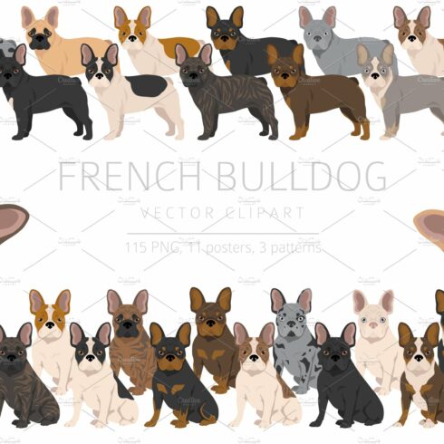French Bulldog clipart cover image.