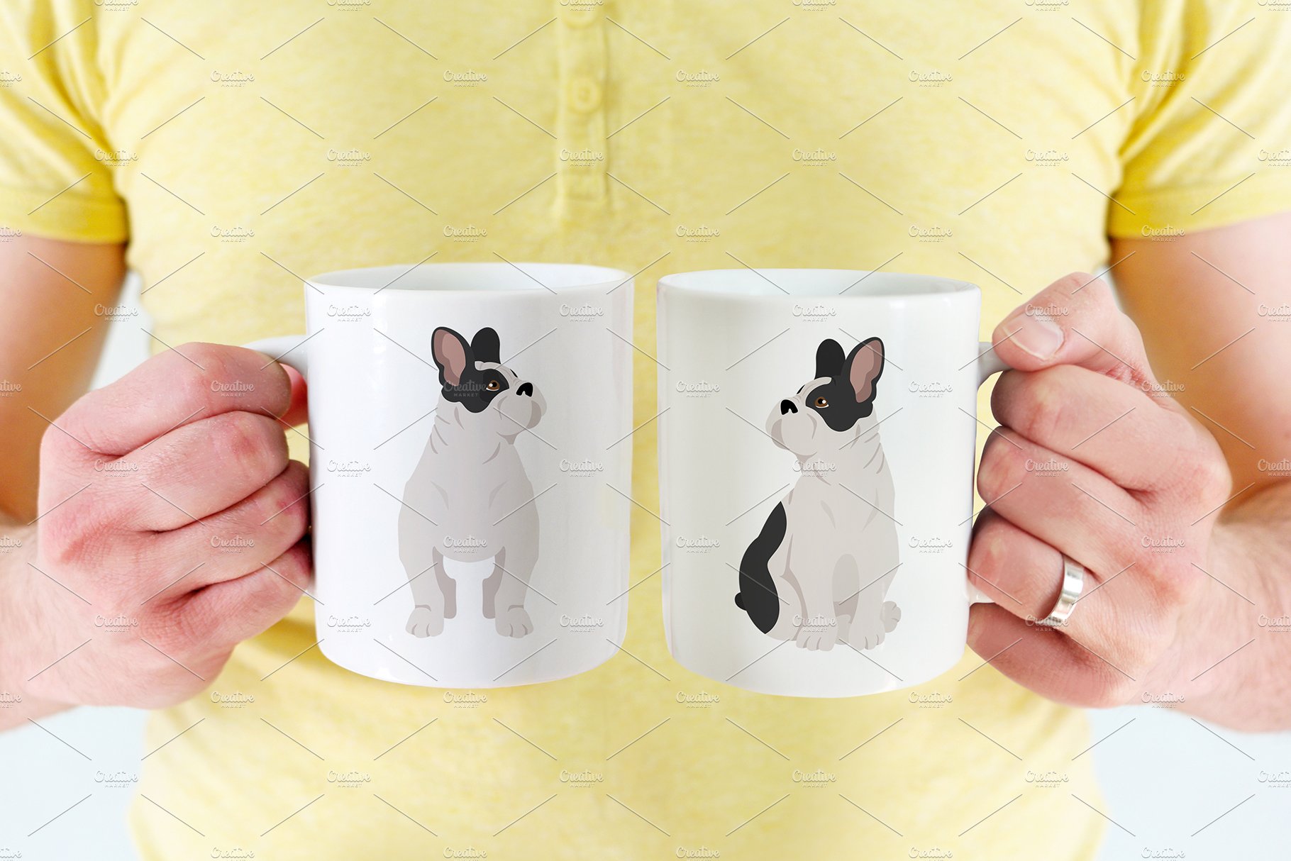 cm french bulldog 10 419