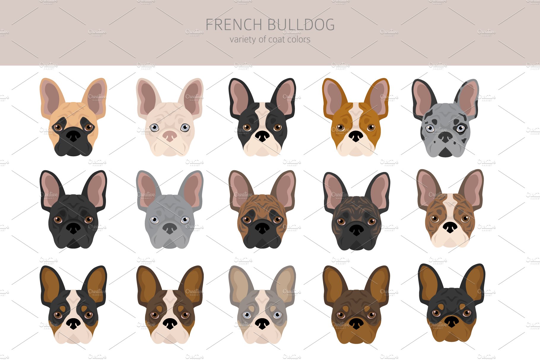 cm french bulldog 14 75