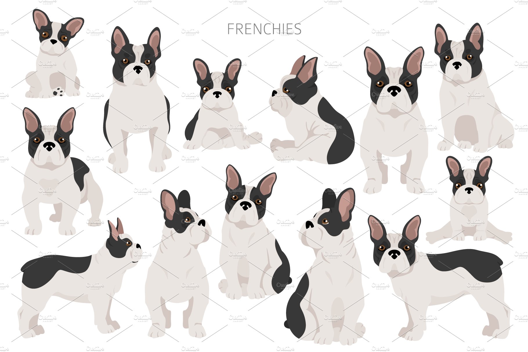 cm french bulldog 2 297