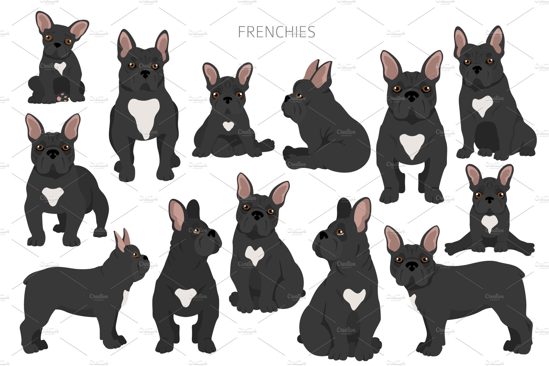 cm french bulldog 2 1 160