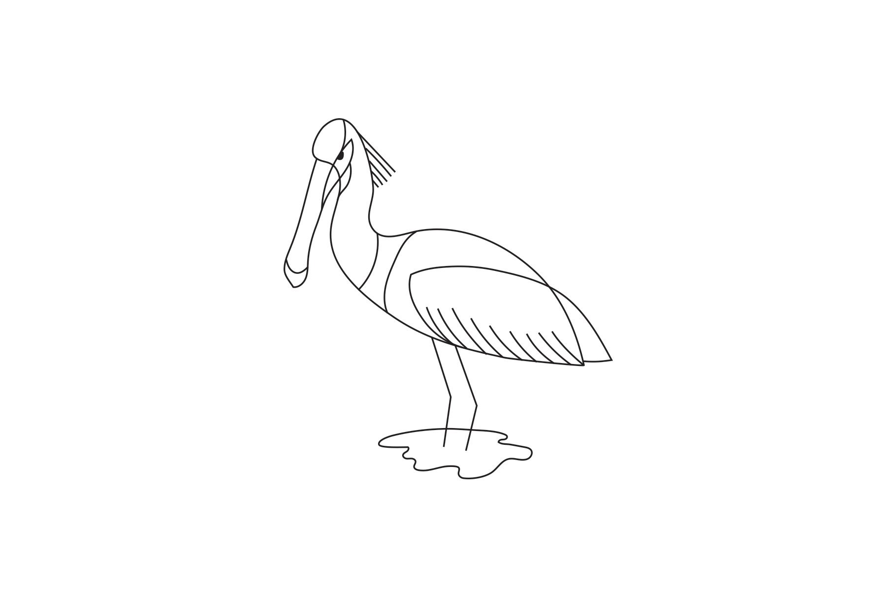 Eurasian Spoonbill preview image.