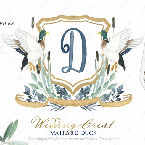 Watercolor Crest Mallard Duck cover image.