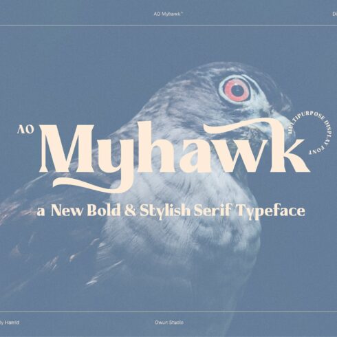 AO Myhawk - Display Typeface cover image.