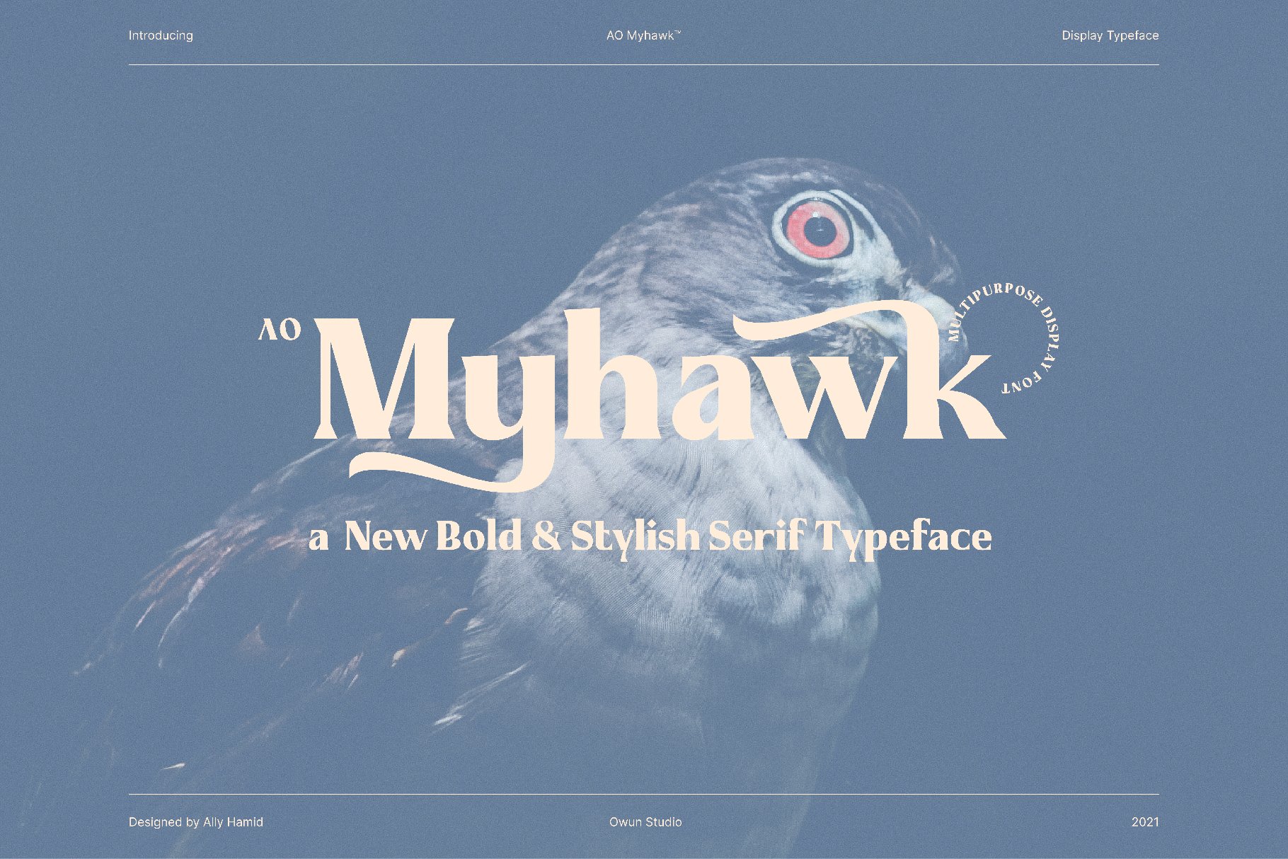 AO Myhawk - Display Typeface cover image.