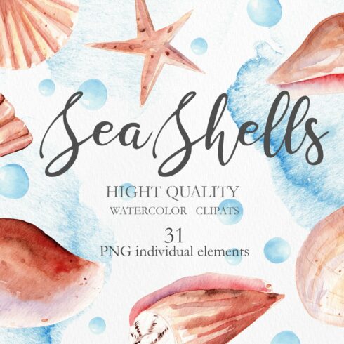 Seashells Clipart Collection cover image.
