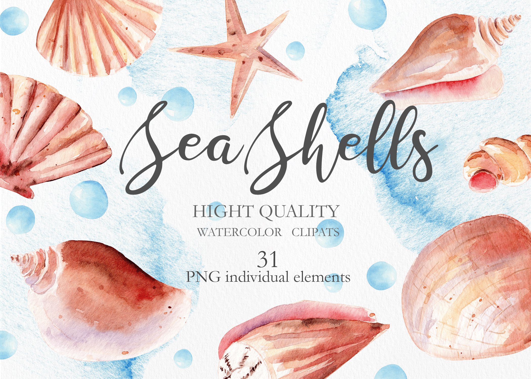 Seashells Clipart Collection cover image.