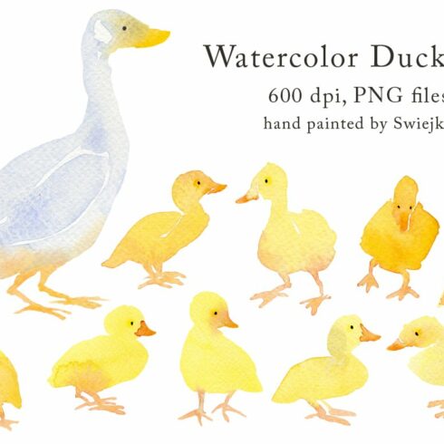 Country Clipart - Ducklings cover image.