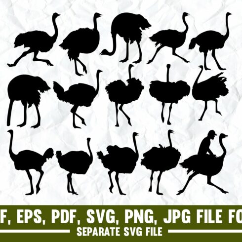 Ostrich,Emu,Flat,Bird,Humor,Cheerful cover image.