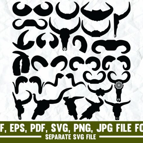 Buffalo Horn,buffalo,animal,horns cover image.