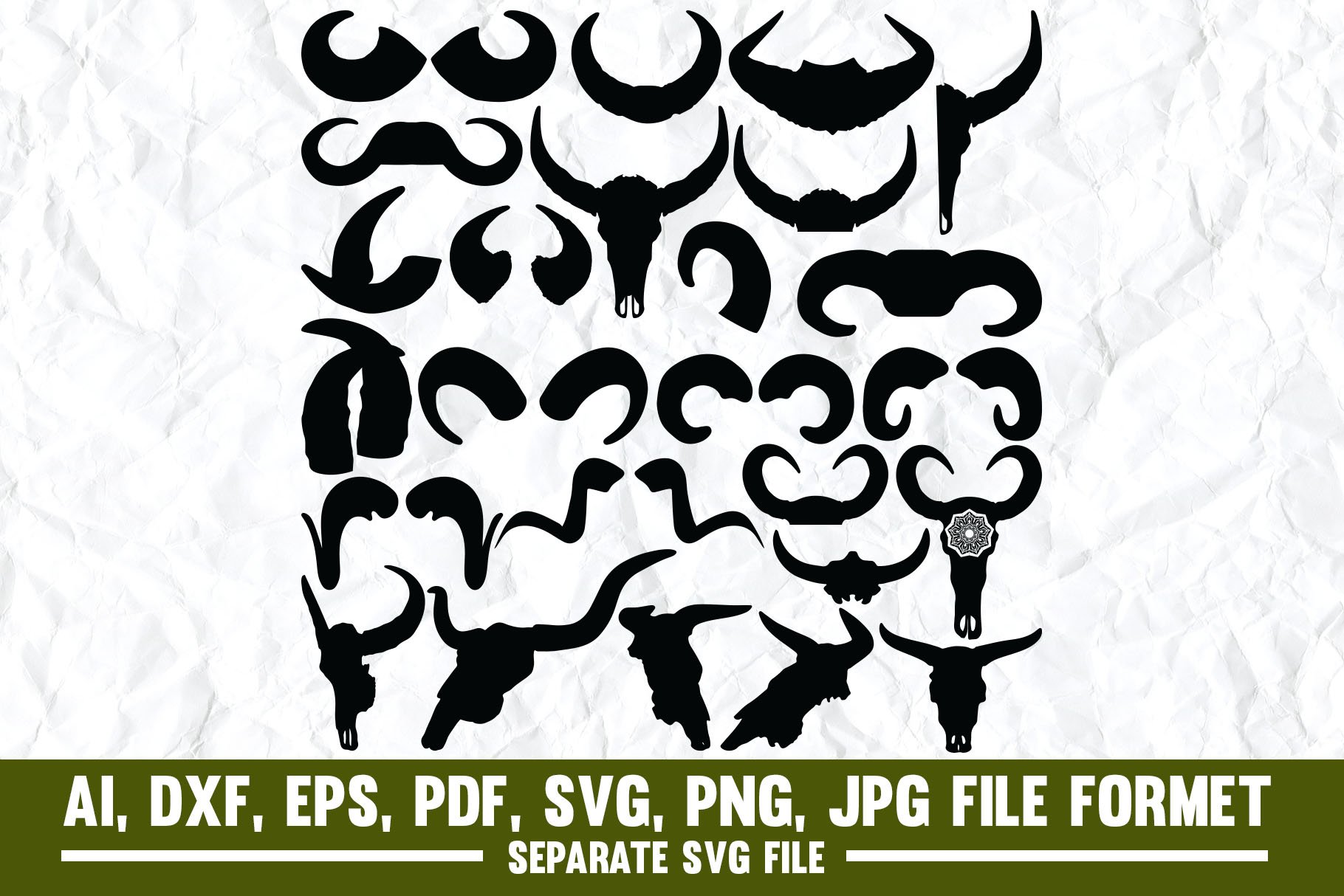 Buffalo Horn,buffalo,animal,horns cover image.