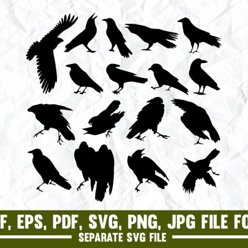 Crow,Bird, Raven,Bird svg,Rook Crow cover image.