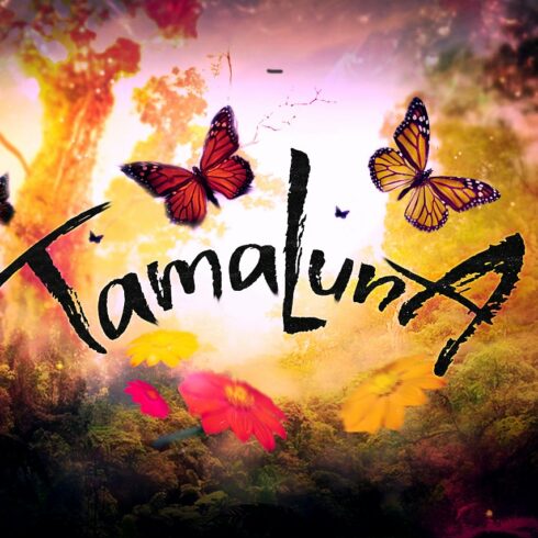 Tamaluna - Typeface cover image.