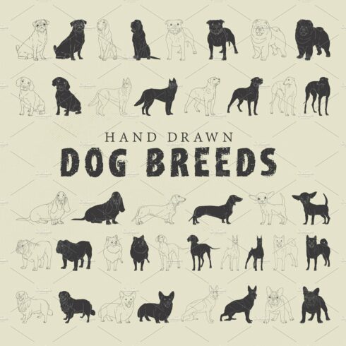 Hand Drawn Dog Breeds Vector 1 cover image.
