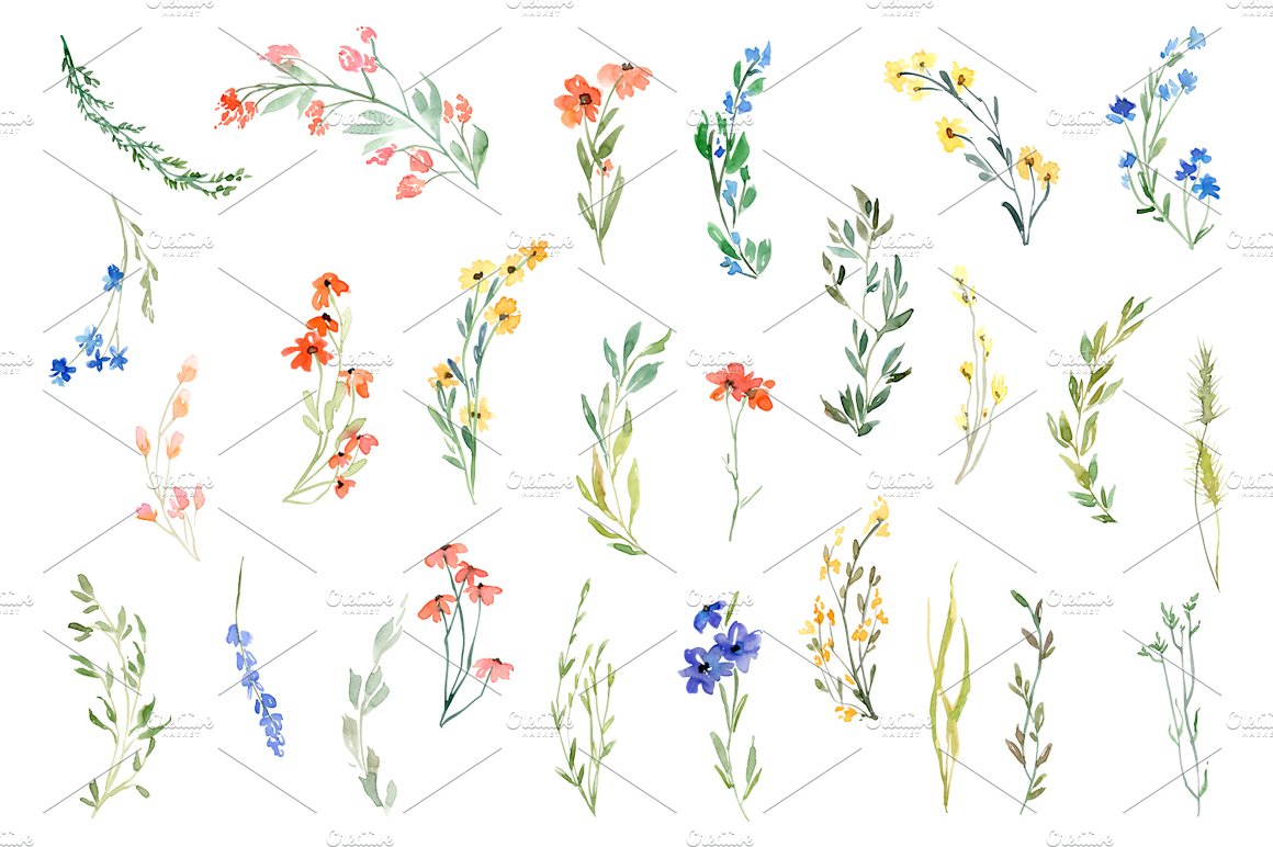 Watercolor Wild Flowers Meadow PNG preview image.