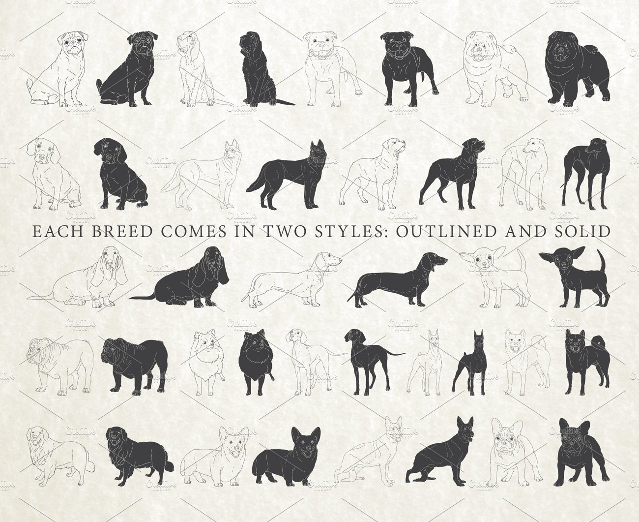 Hand Drawn Dog Breeds Vector 1 preview image.