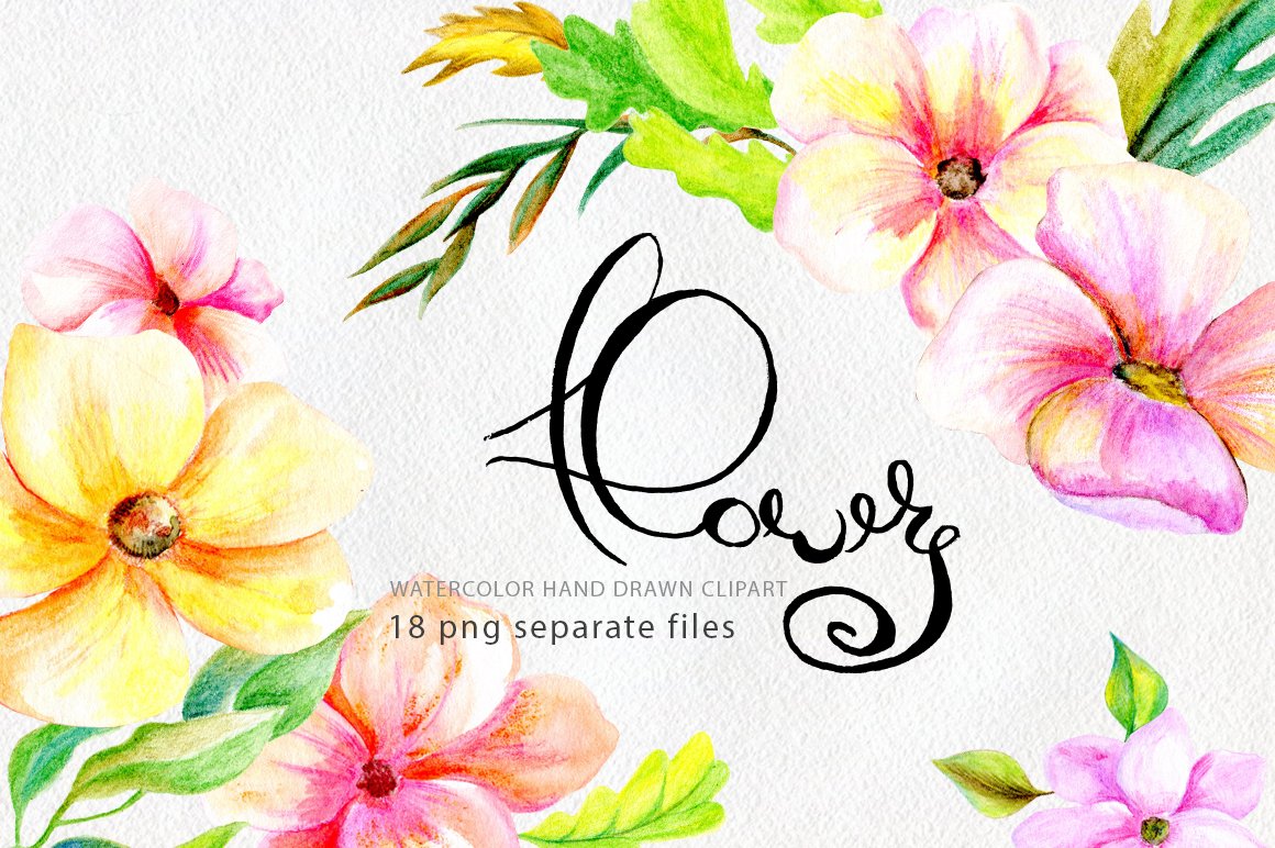 Pencil & watercolor florals cover image.