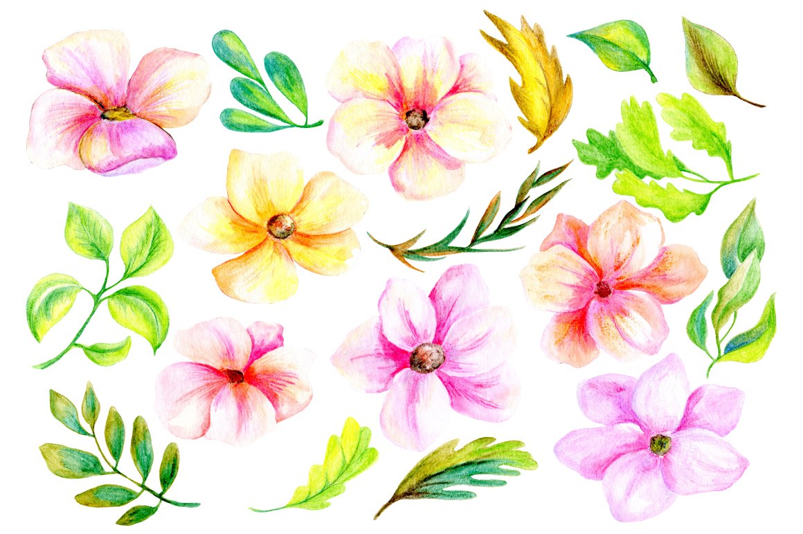 Pencil & watercolor florals preview image.