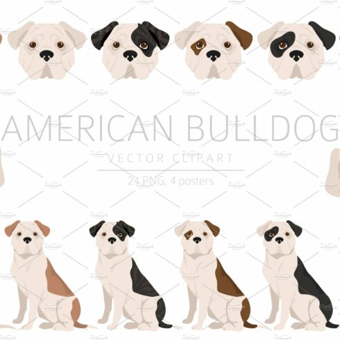 American bulldog clipart cover image.