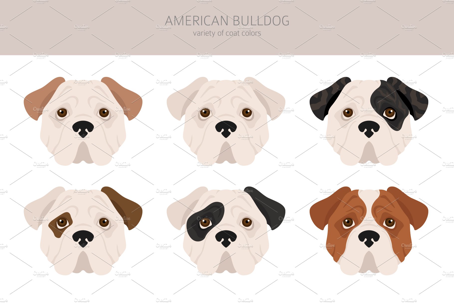 American bulldog clipart preview image.