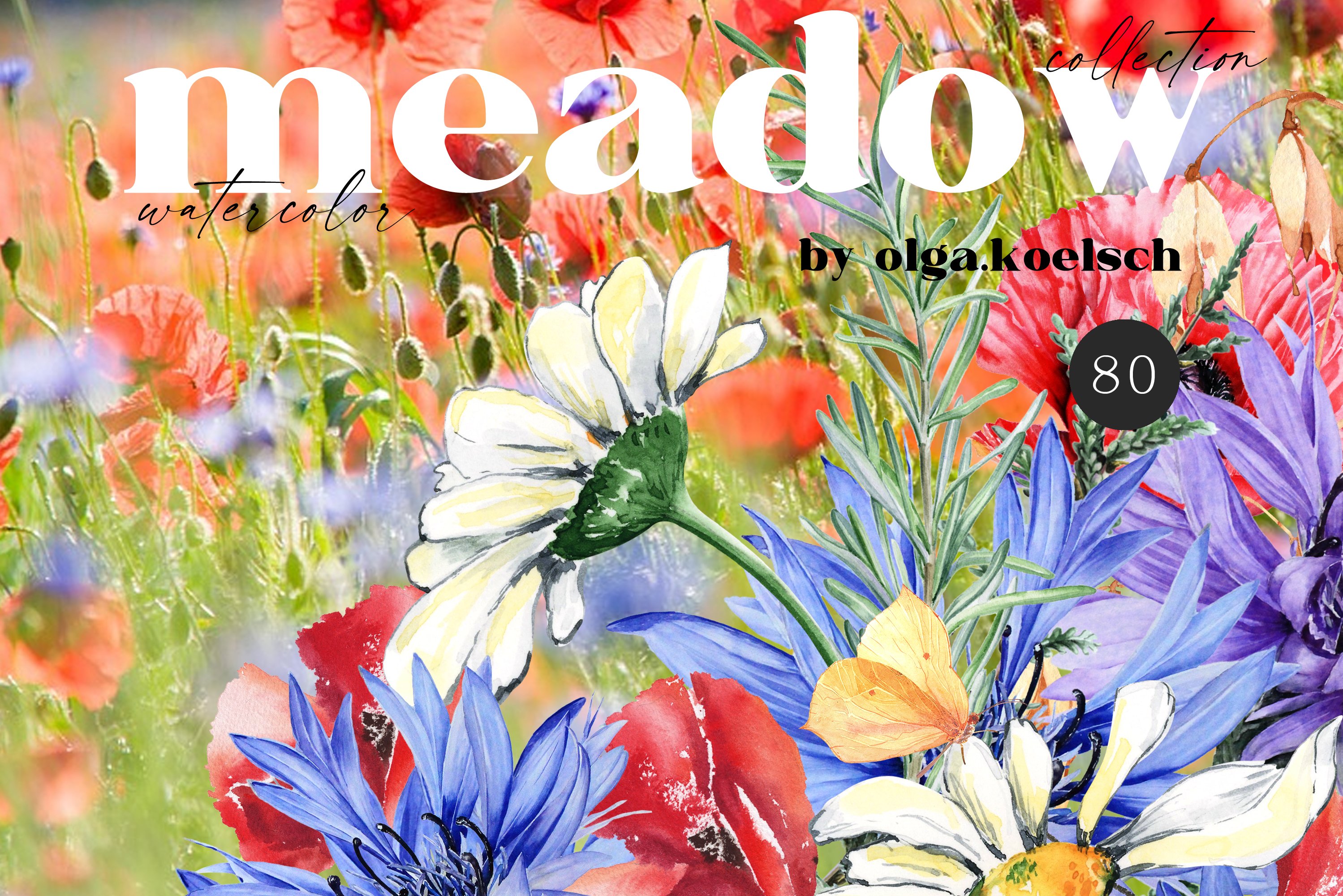 Meadow Flowers Watercolor cover image.